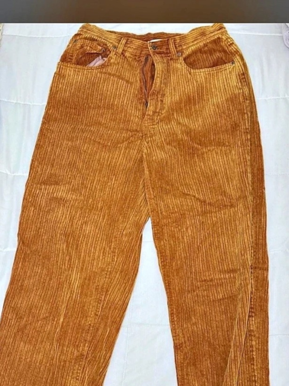 BDG High Rise Baggy Corduroy Pants Brown Waist 30
